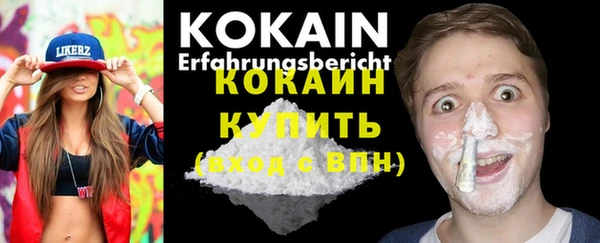 PSILOCYBIN Волосово