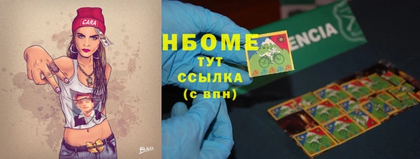 шишки Володарск