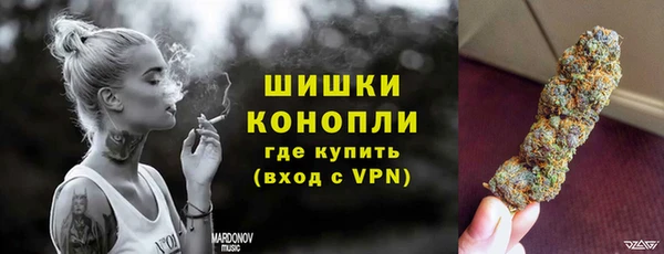 шишки Володарск