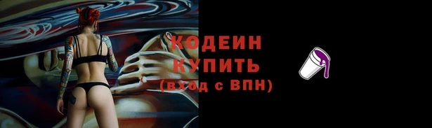 шишки Володарск