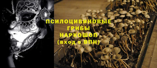 шишки Володарск