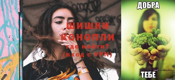 шишки Володарск