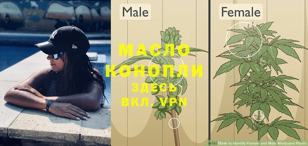 PSILOCYBIN Волосово